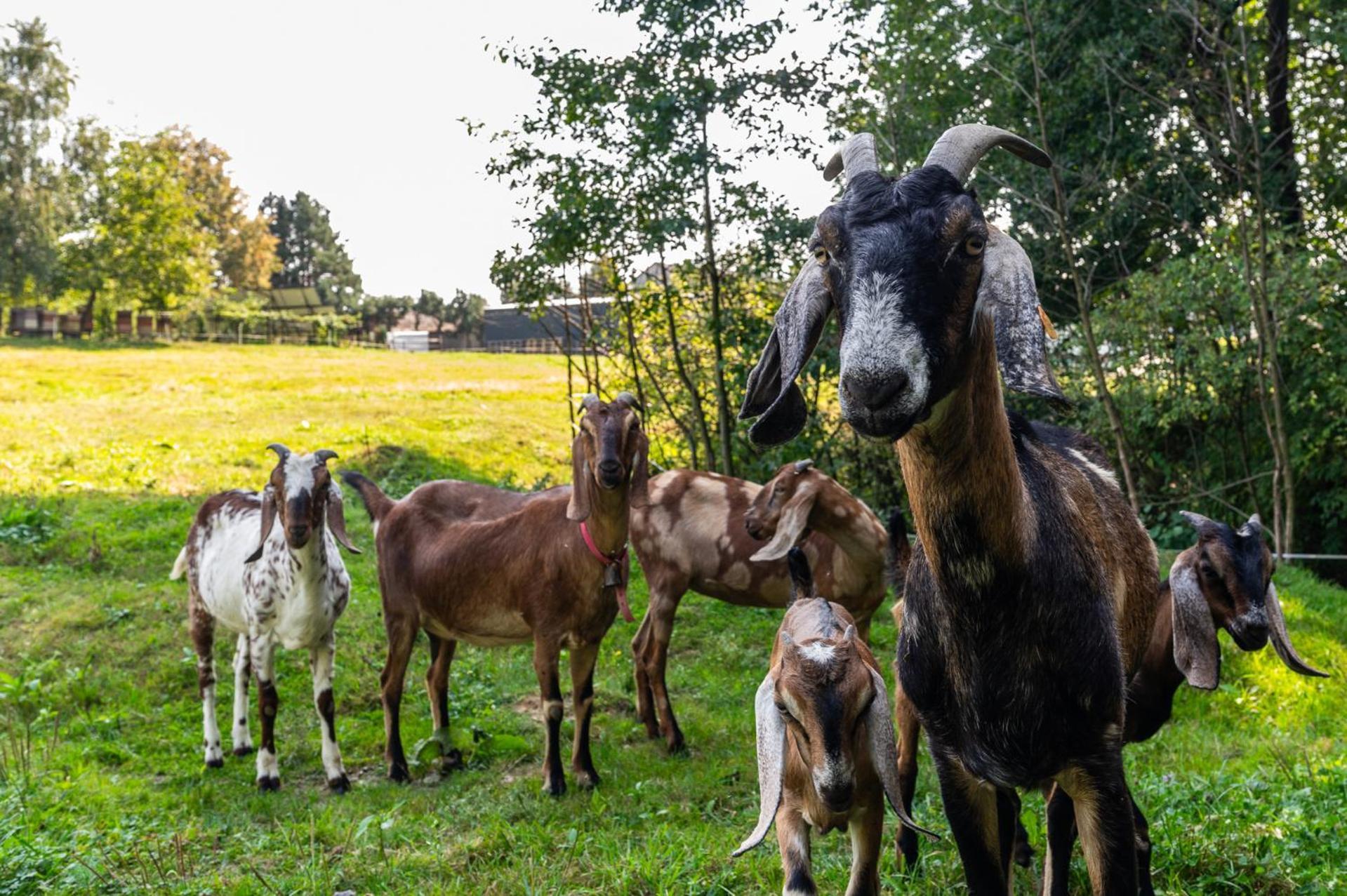 Orzechowa Ostoja Noclegi Energylandia Bachowice Esterno foto